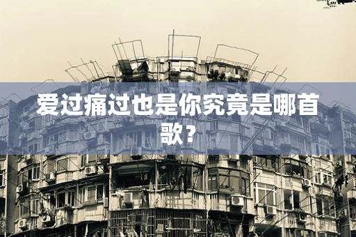 爱过痛过也是你究竟是哪首歌？