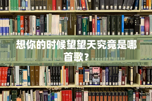 想你的时候望望天究竟是哪首歌？