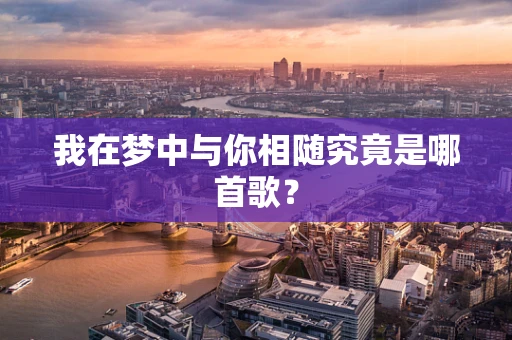 我在梦中与你相随究竟是哪首歌？