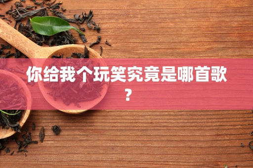 你给我个玩笑究竟是哪首歌？