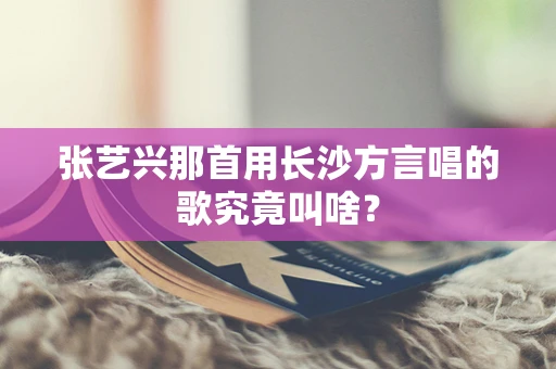 张艺兴那首用长沙方言唱的歌究竟叫啥？