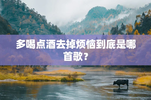 多喝点酒去掉烦恼到底是哪首歌？