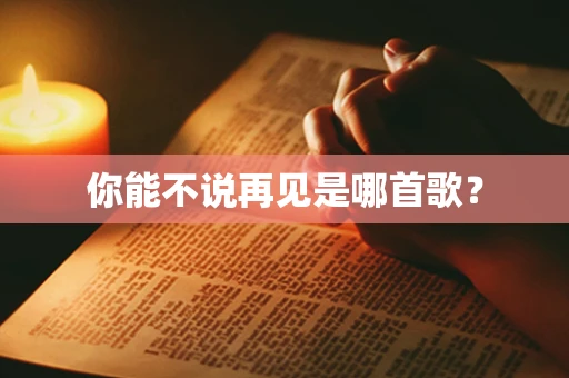 你能不说再见是哪首歌？