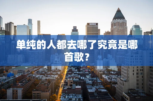 单纯的人都去哪了究竟是哪首歌？