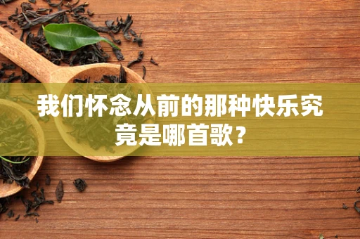 我们怀念从前的那种快乐究竟是哪首歌？
