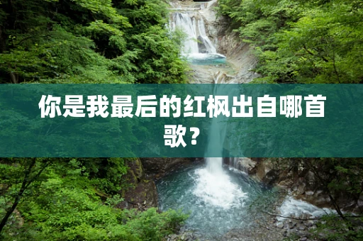 你是我最后的红枫出自哪首歌？