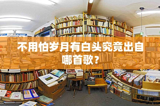 不用怕岁月有白头究竟出自哪首歌？