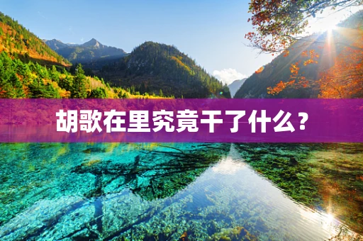 胡歌在里究竟干了什么？