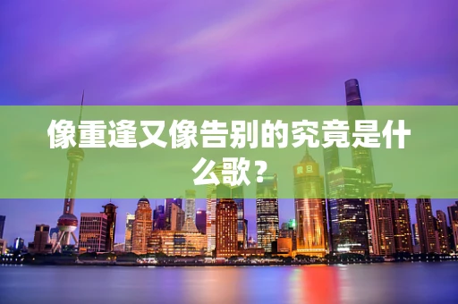 像重逢又像告别的究竟是什么歌？