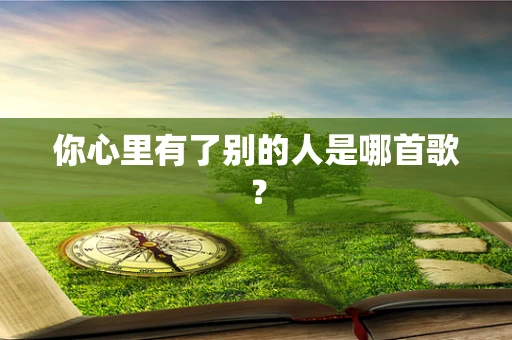 你心里有了别的人是哪首歌？