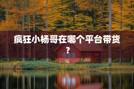疯狂小杨哥在哪个平台带货？