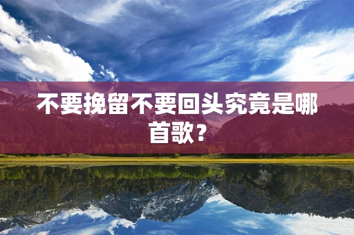 不要挽留不要回头究竟是哪首歌？