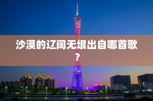 沙漠的辽阔无垠出自哪首歌？