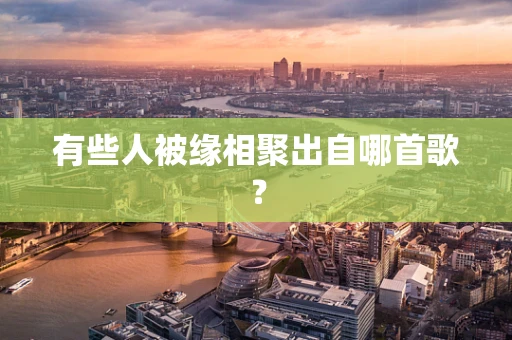 有些人被缘相聚出自哪首歌？
