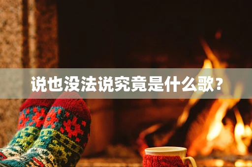 说也没法说究竟是什么歌？