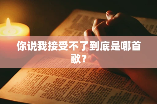 你说我接受不了到底是哪首歌？