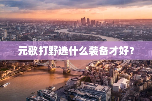 元歌打野选什么装备才好？