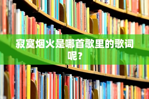 寂寞烟火是哪首歌里的歌词呢？