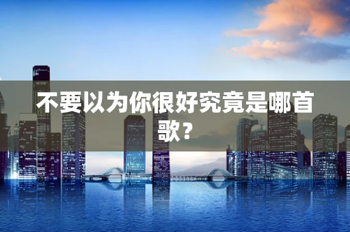 不要以为你很好究竟是哪首歌？