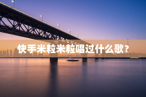 快手米粒米粒唱过什么歌？