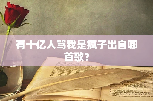 有十亿人骂我是疯子出自哪首歌？