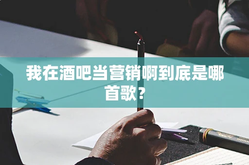 我在酒吧当营销啊到底是哪首歌？