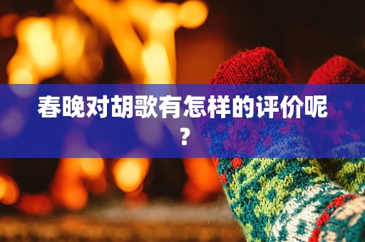 春晚对胡歌有怎样的评价呢？
