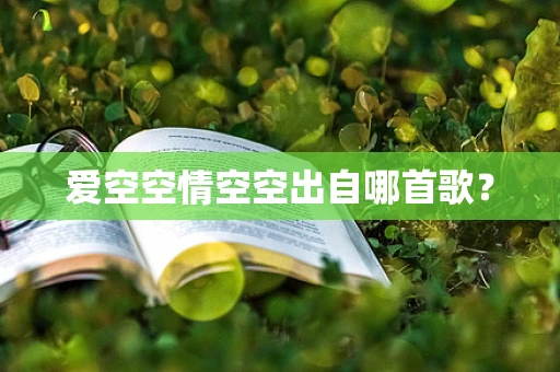 爱空空情空空出自哪首歌？