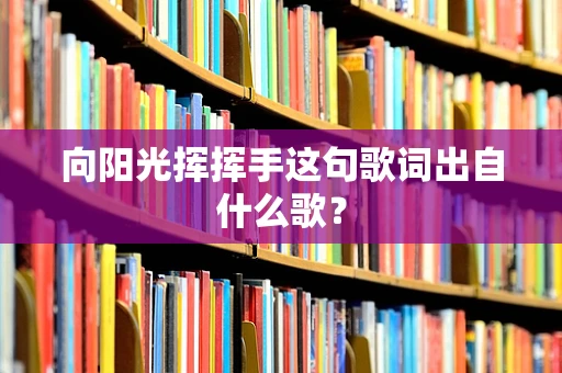 向阳光挥挥手这句歌词出自什么歌？