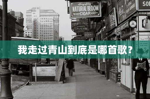 我走过青山到底是哪首歌？