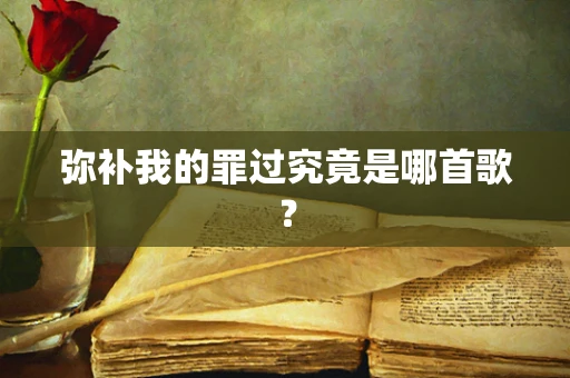 弥补我的罪过究竟是哪首歌？