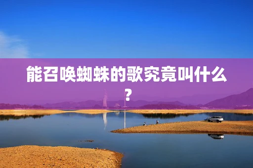 能召唤蜘蛛的歌究竟叫什么？