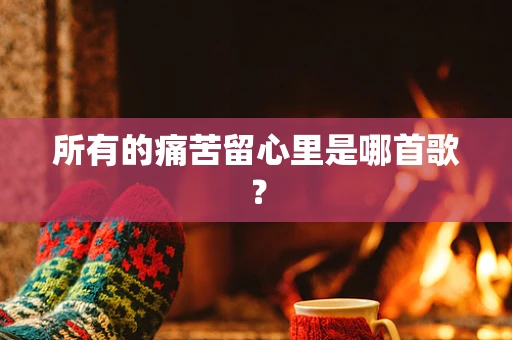 所有的痛苦留心里是哪首歌？