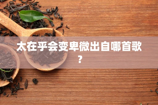 太在乎会变卑微出自哪首歌？