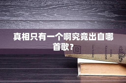 真相只有一个啊究竟出自哪首歌？