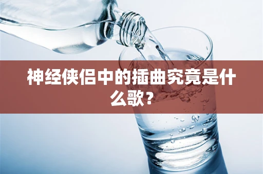 神经侠侣中的插曲究竟是什么歌？