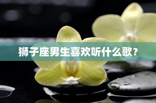 狮子座男生喜欢听什么歌？