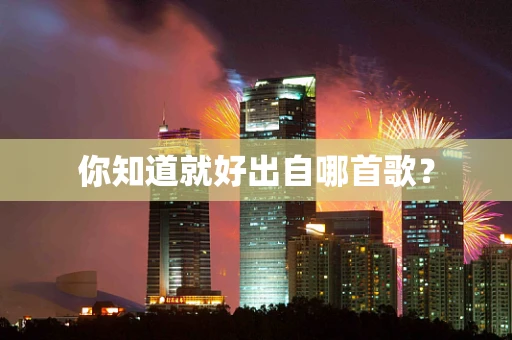 你知道就好出自哪首歌？