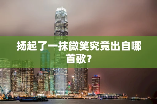 扬起了一抹微笑究竟出自哪首歌？