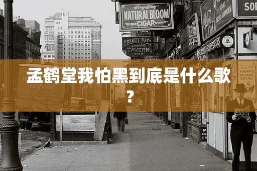 孟鹤堂我怕黑到底是什么歌？