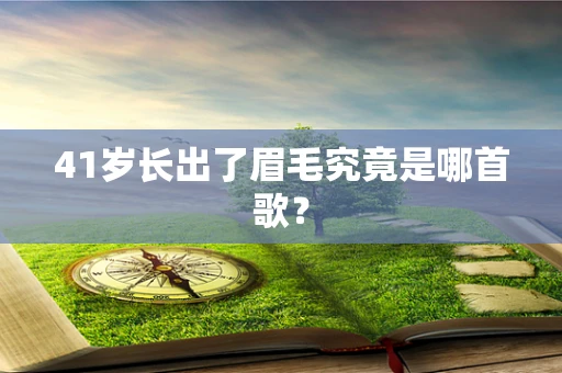 41岁长出了眉毛究竟是哪首歌？