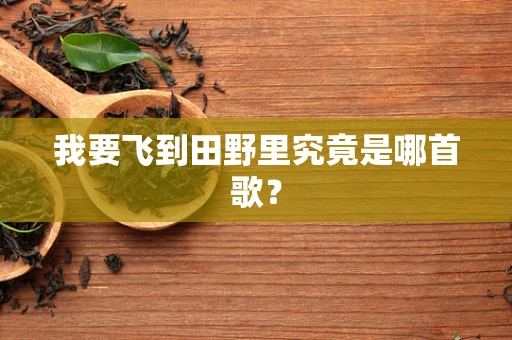 我要飞到田野里究竟是哪首歌？