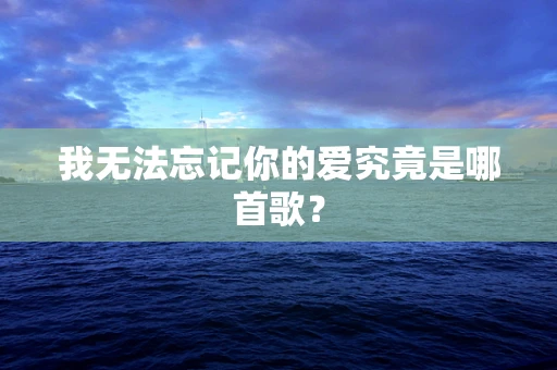 我无法忘记你的爱究竟是哪首歌？