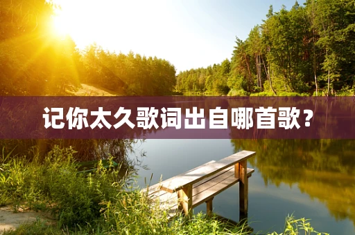 记你太久歌词出自哪首歌？