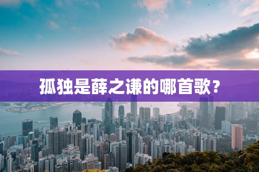 孤独是薛之谦的哪首歌？