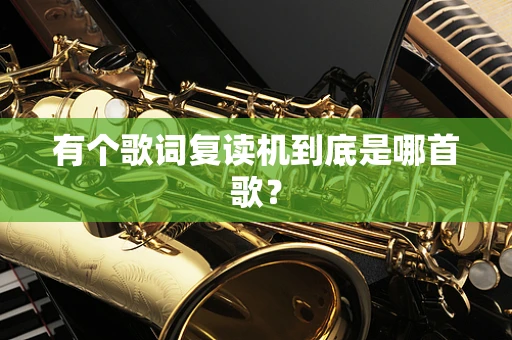 有个歌词复读机到底是哪首歌？