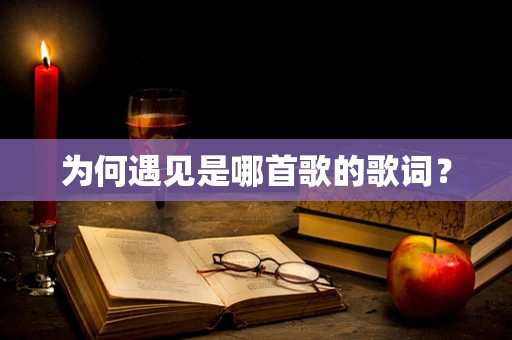 为何遇见是哪首歌的歌词？