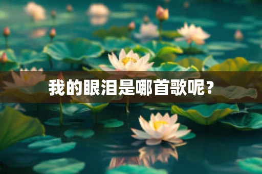 我的眼泪是哪首歌呢？