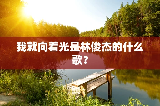 我就向着光是林俊杰的什么歌？