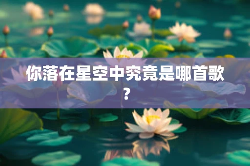 你落在星空中究竟是哪首歌？